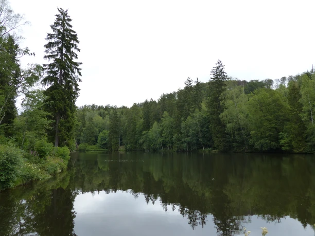 Neuer Teich - idyllisch ruhig gelgen