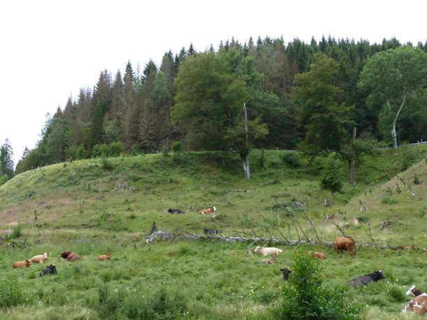 Großes Bruchmannstal