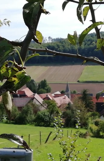 Blick auf Wiershausen
