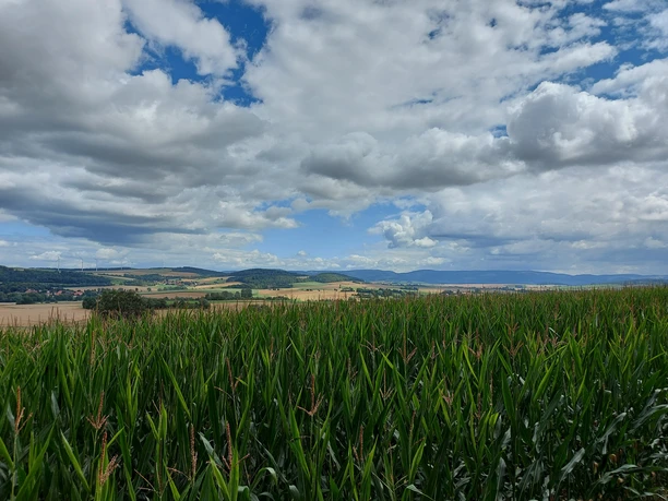 Blick nach Dannhausen
