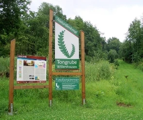 Tongrube