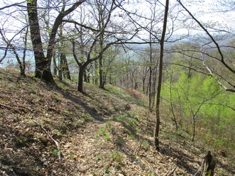 Schöne Trails im Südharz