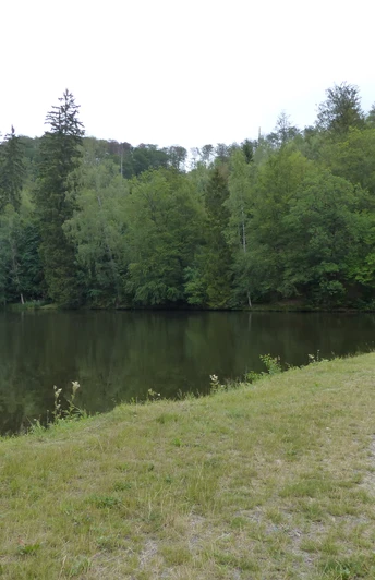 Neuer Teich - idyllisch ruhig gelgen