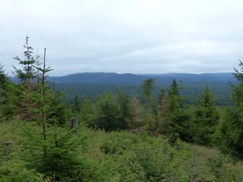 Aussicht auf den Hochharz, der oft in den Wolken liegt