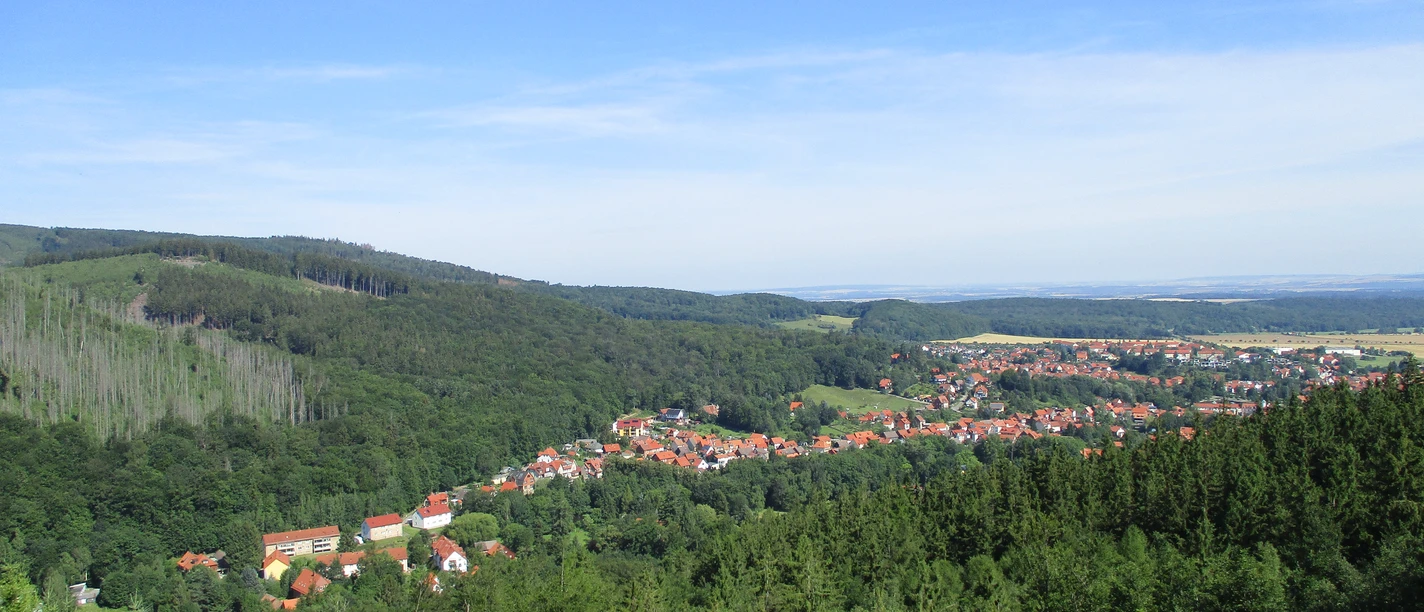 Blick über Ilsenburg