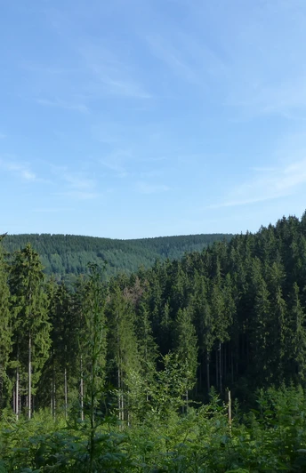 Blick Richtung Iberg