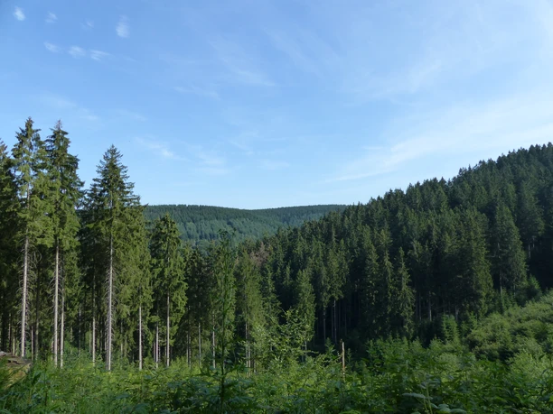 Blick Richtung Iberg
