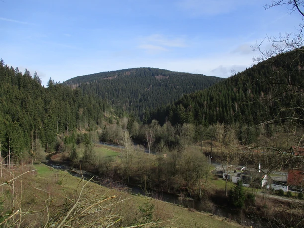Aussicht vom Rand des Innerstetals auf die ausgedehnten Fichtenwälder der Oberharzer Berge