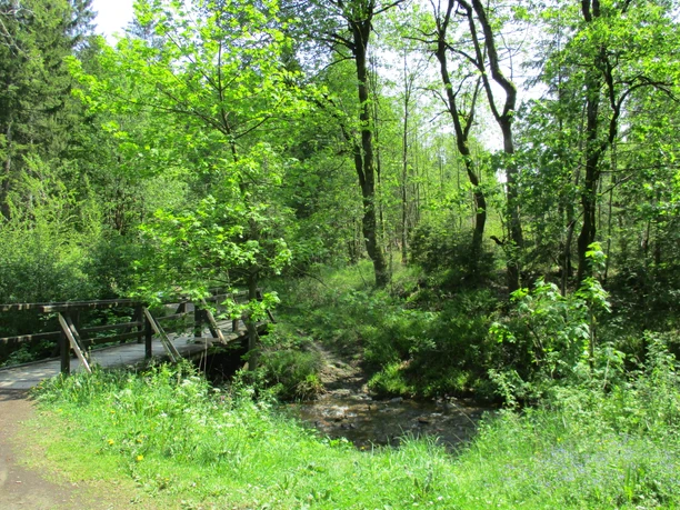 Trails bei Altenau