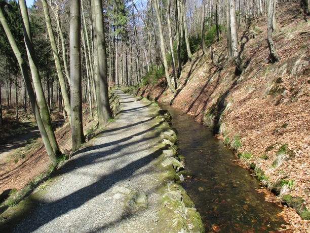 Trail an der Radau