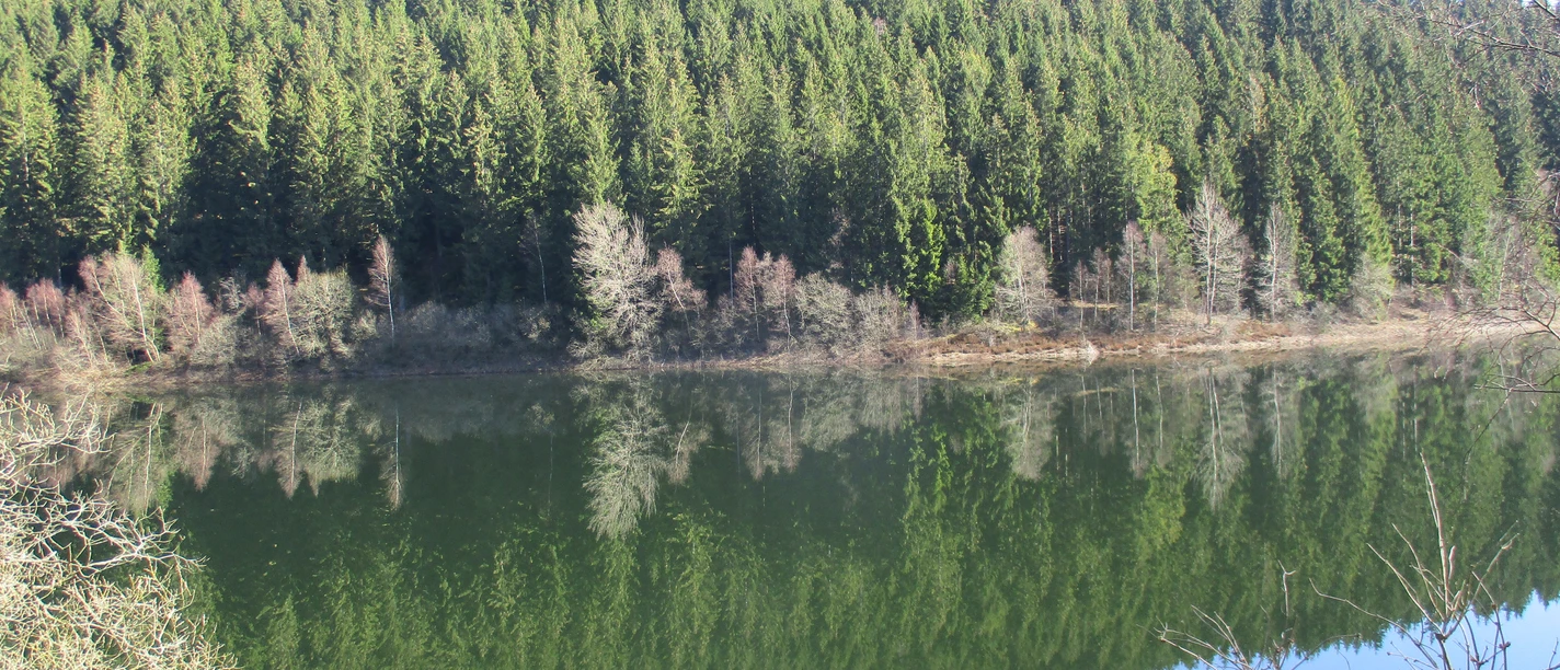 Die Route führt durch das Oberharzer Wasserregal