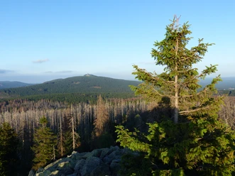 Blick vom Achtermann zum Wurmberg