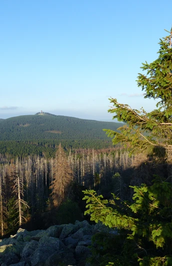 Blick vom Achtermann zum Wurmberg
