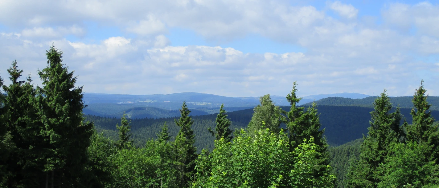 Aussicht vom Ravensberg zum Brocken
