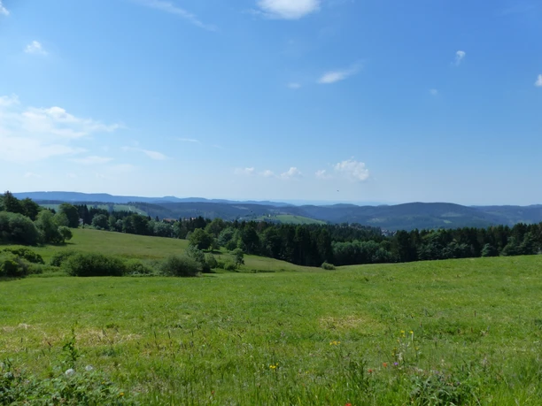 Blick von Norden auf Sankt Andreasberg