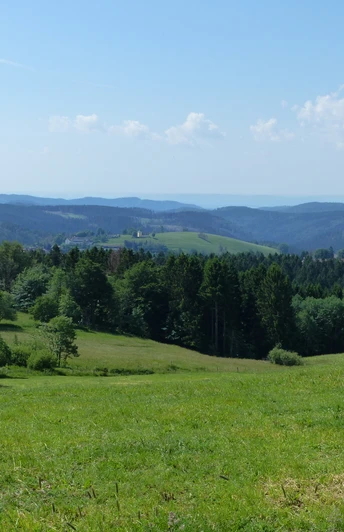 Blick auf die Bergstadt Sankt Andreasberg