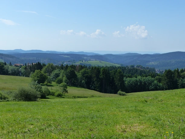 Blick auf die Bergstadt Sankt Andreasberg