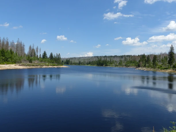Oderteich