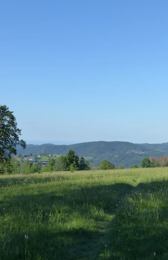 Blick von Osten auf Sankt Andreasberg
