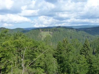 Aussicht vom Rand des Eschenberges.