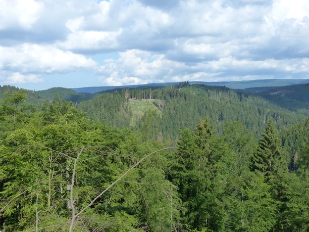 Aussicht vom Rand des Eschenberges.