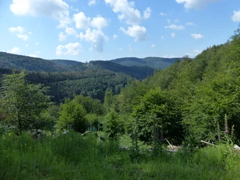 In der Nähe des Oderstausees