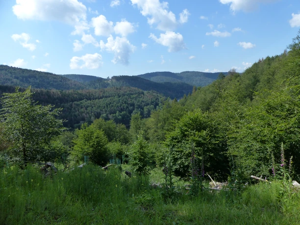 In der Nähe des Oderstausees