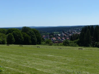 Blick über Braunlage in den Unterharz