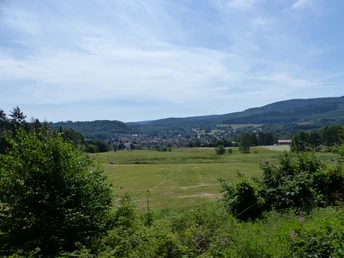 Blick auf Wolfshagen