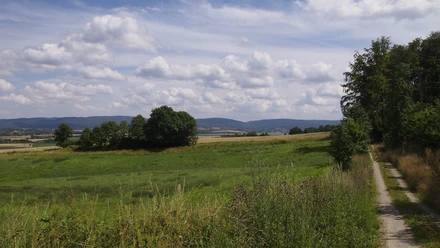 Waldrand Mechtshausen