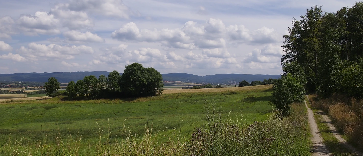 Waldrand Mechtshausen