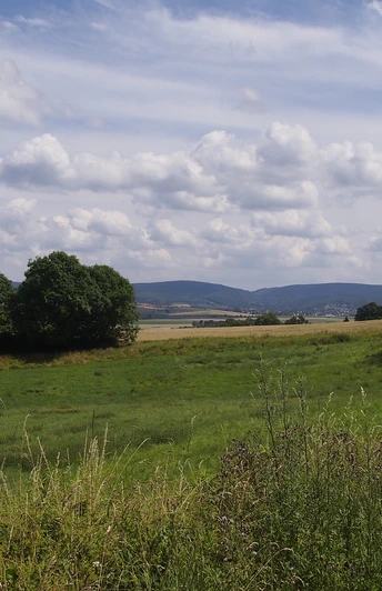 Waldrand Mechtshausen