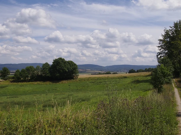 Waldrand Mechtshausen