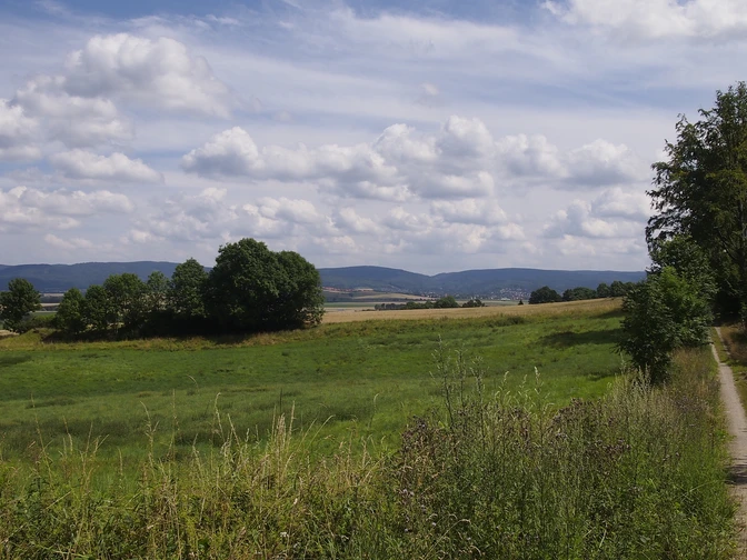 Waldrand Mechtshausen