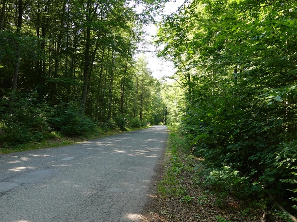 Weg / Zufahrt zum Bremer Teich