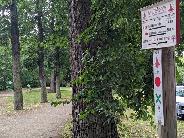 Schilderbaum im Brühl vis-á-vis eines alten Grenzsteines
