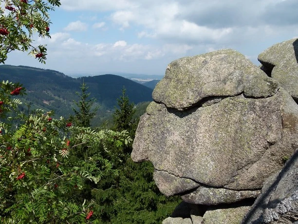 Der Alte vom Berge über dem Okertal