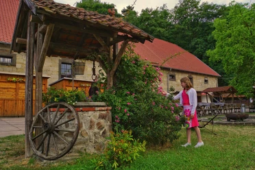 Schäferhof Langenstein, Stefan Herfurth
