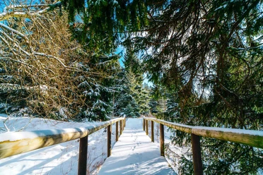Winterliche Natur um Braunlage