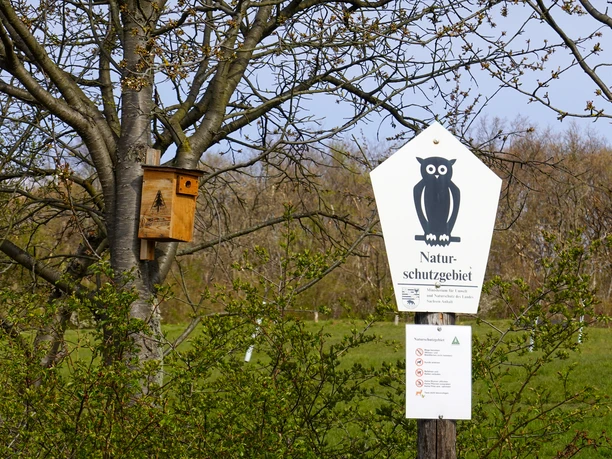 Nistkasten im NSG Münchenberg