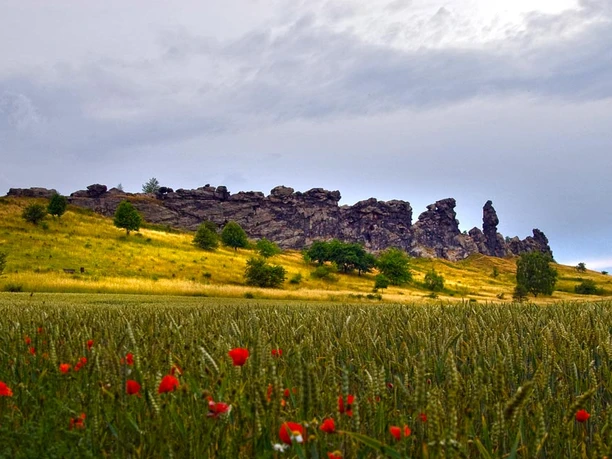 Teufelsmauer bei Weddersleben