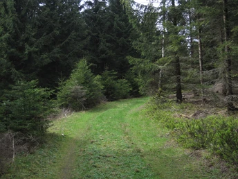 Wanderweg am Ebersberg