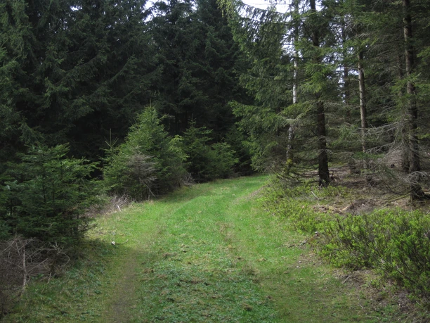 Wanderweg am Ebersberg