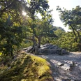 Sonnenklippe