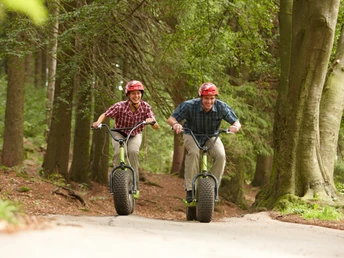 Monsterroller Braunlage