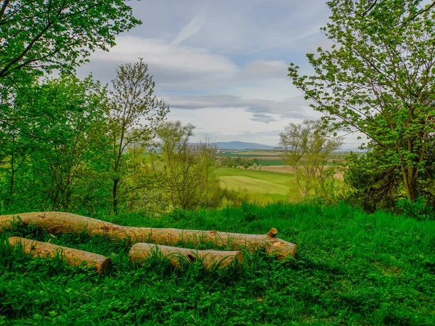 Brockenblick, Stefan Herfurth