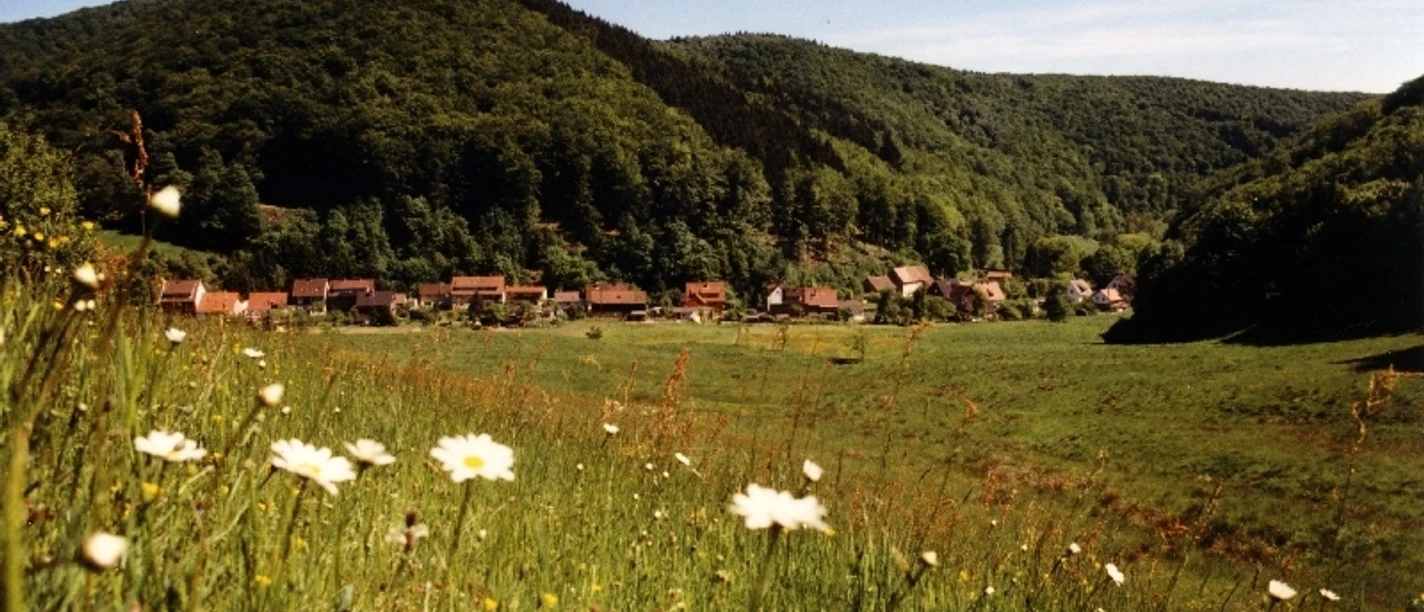 Rund um Lonau (Fotograf: Wilfried Störmer)
