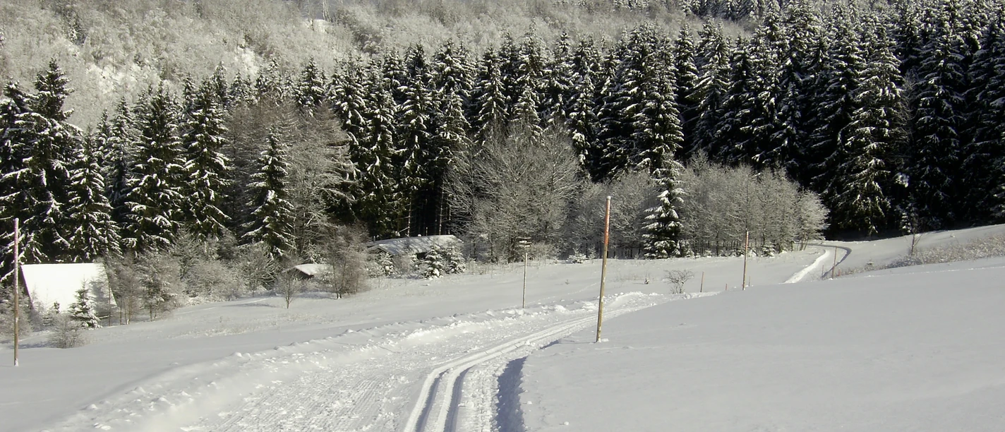 Wintersport in Altenau