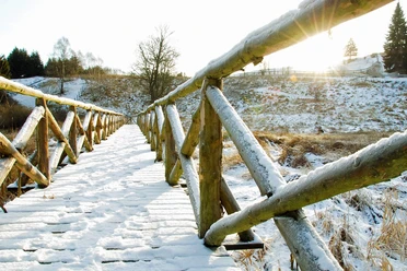 Fußgängerbrücke über das Biotop Mühlteich in Allrode