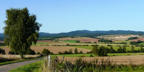 Bartolfelde